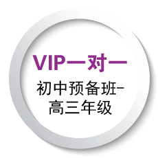 vip1對1圖標