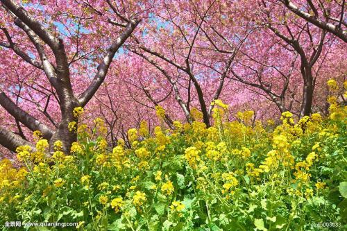 小學(xué)作文素材整理 描寫(xiě)春天的好句