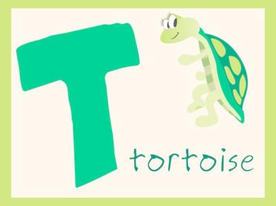 暑假一天一課學口語!day20-字母T的發音