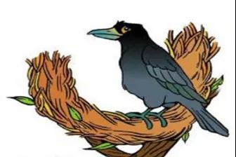 從零開始學拼音!第二課字母《i u ü y w》