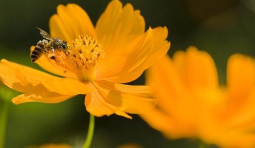 致敬教師節 | 最美的詩詞送給最愛的老師