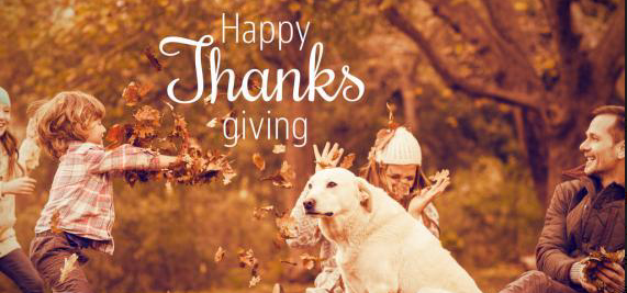 感恩節吃火雞!你知道英語中火雞怎么說嗎?