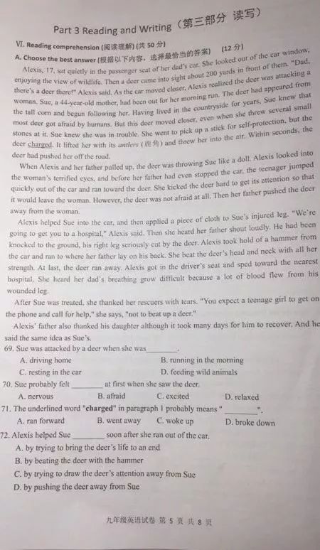 2019屆初三金山區一模英語卷解析